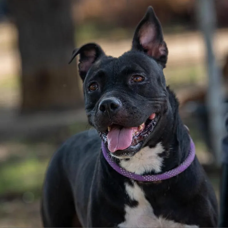 Skye Jum thumbnail 6