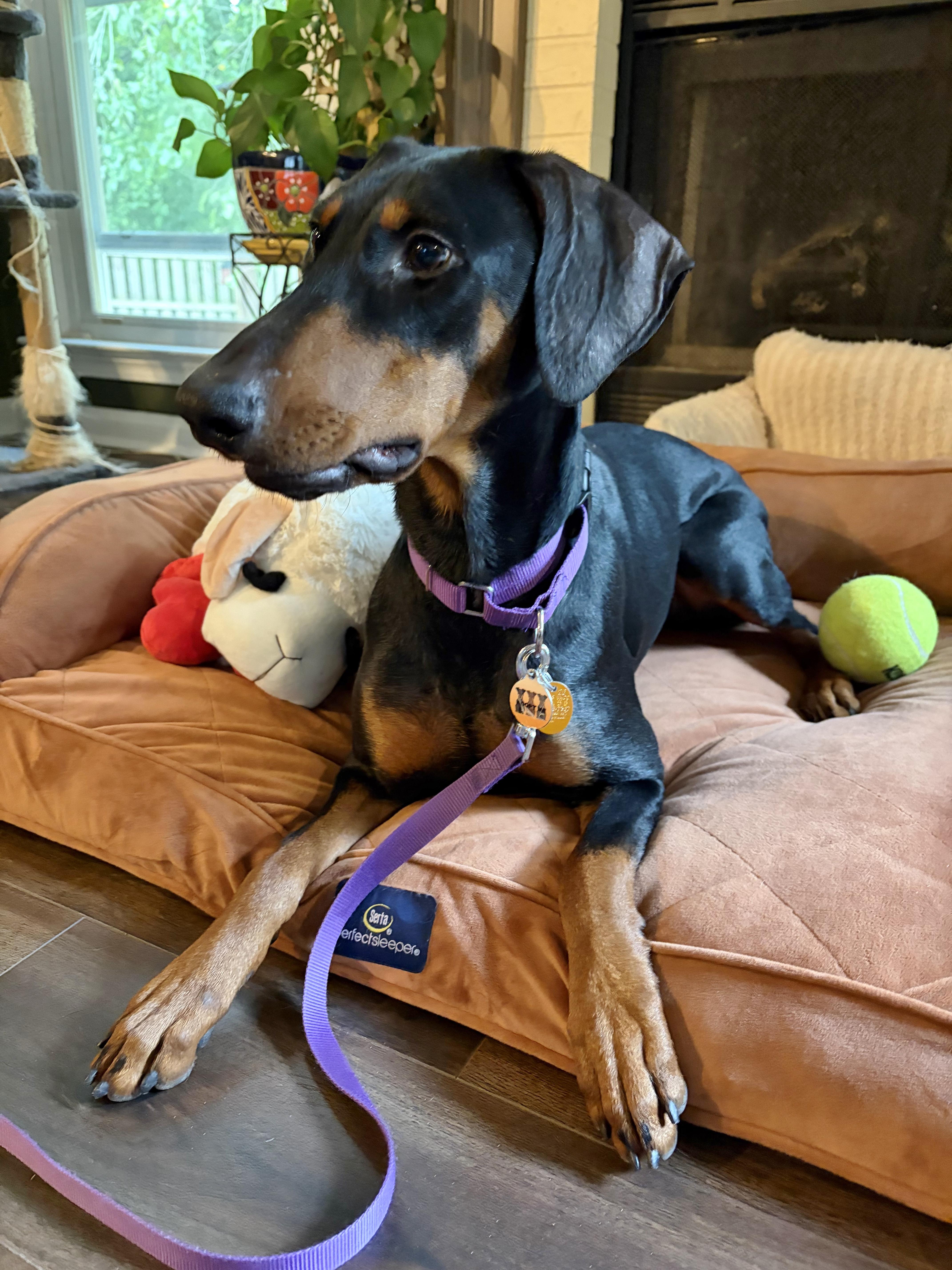 Betty thumbnail 2