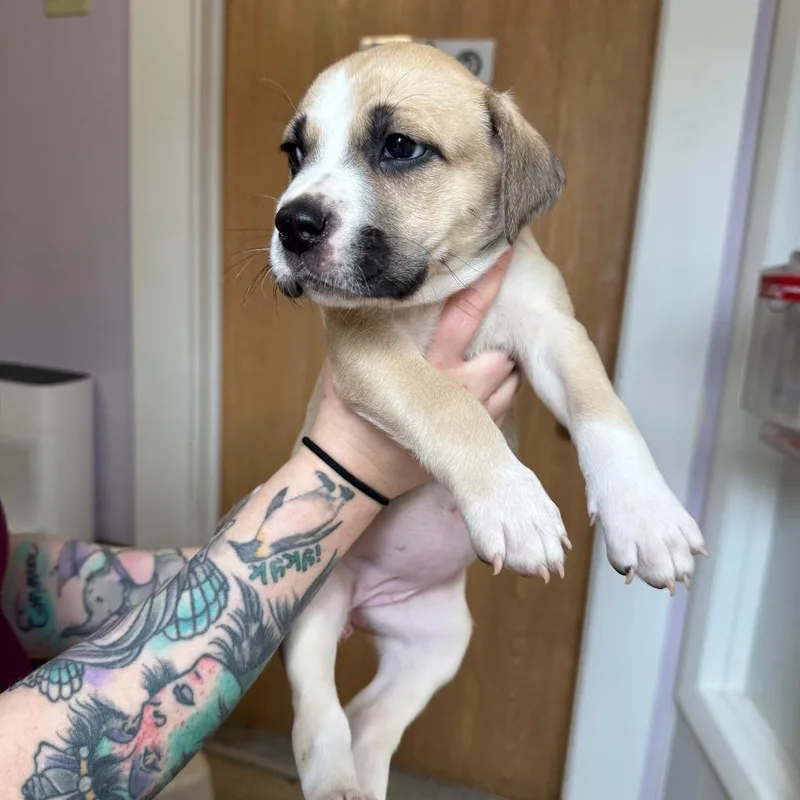 Best Friend thumbnail 2