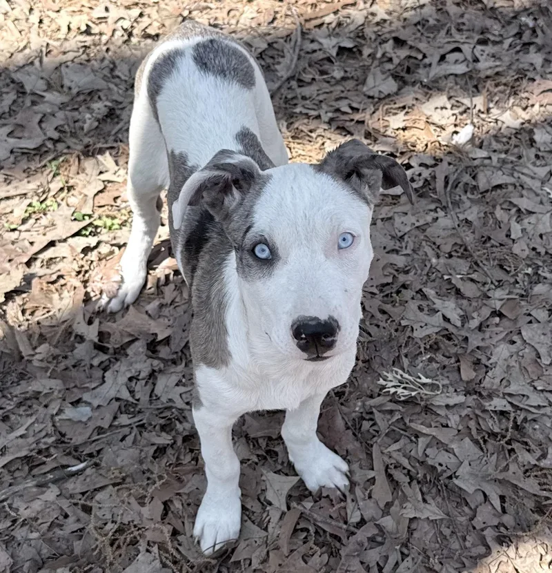 Josephine thumbnail 2