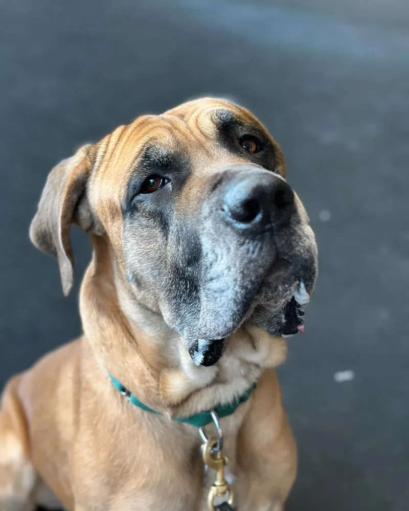 Geronimo thumbnail 2