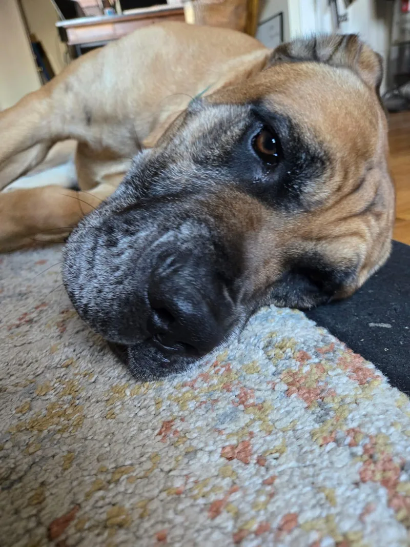 Geronimo thumbnail 4