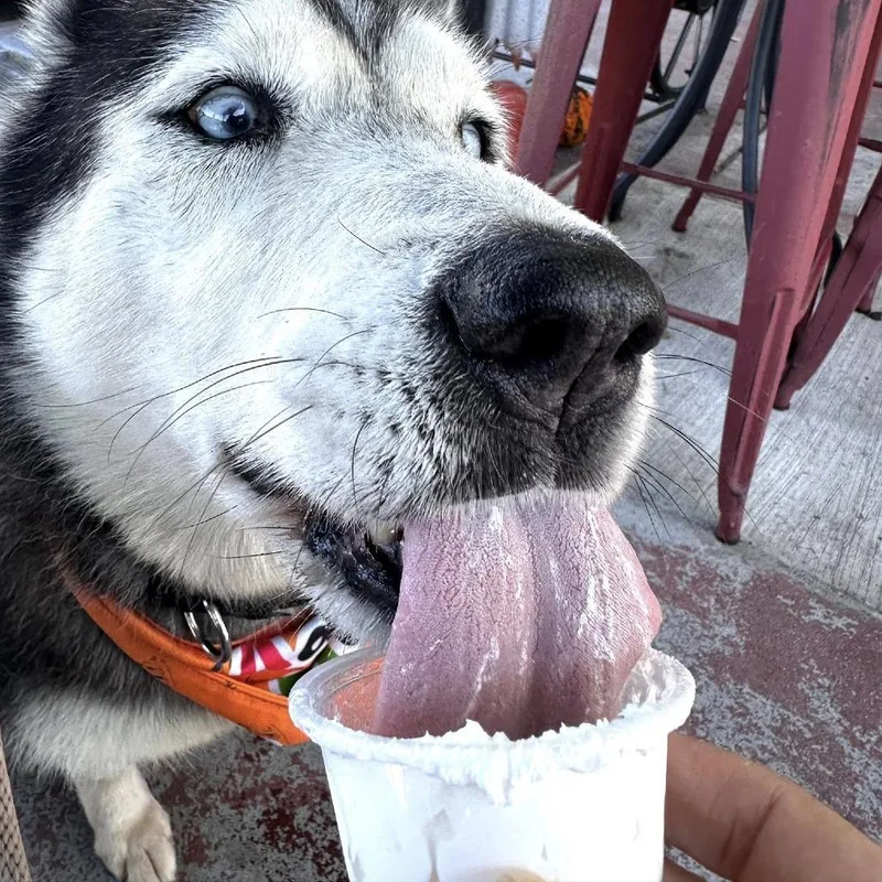 Lola Lox thumbnail 4