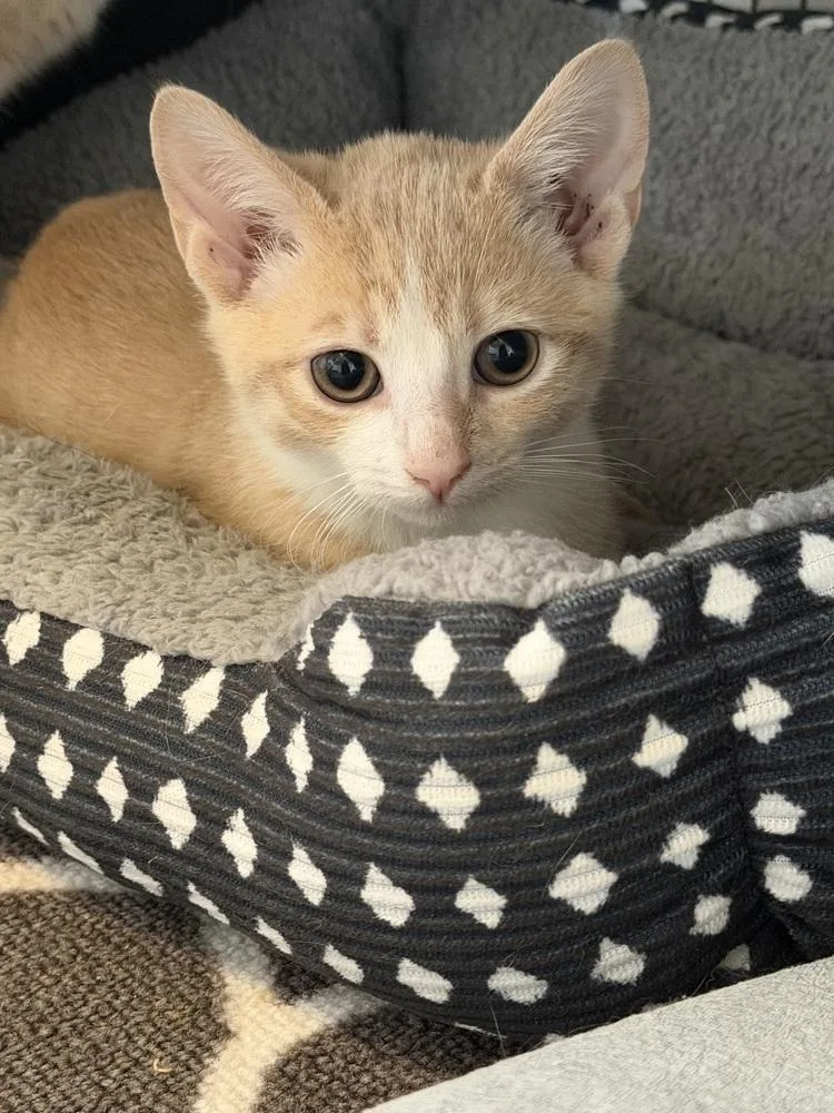 Owen Hunt thumbnail 2