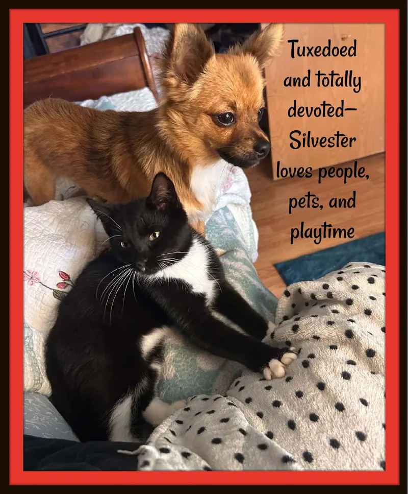 One Part Gentleman  thumbnail 2