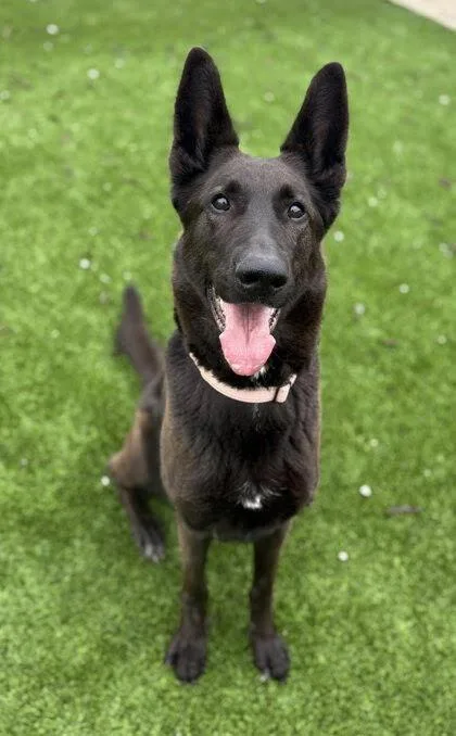 Storm Located In Ut thumbnail 2