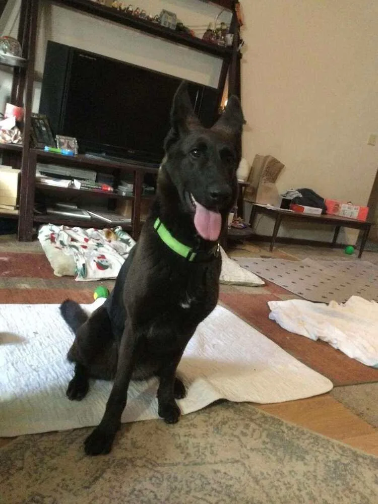 Storm Located In Ut thumbnail 3