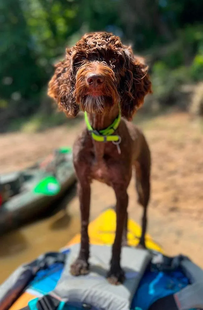 Ella thumbnail 3