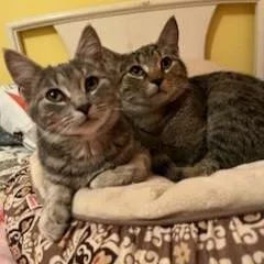 Trixter & Journey thumbnail 2