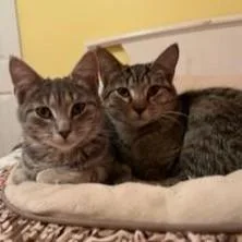 Trixter & Journey thumbnail 3