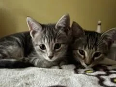 Trixter & Journey thumbnail 6