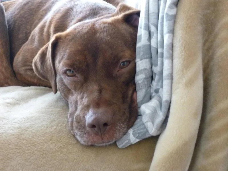 Rusty