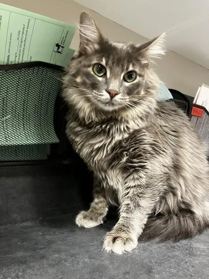 Milo