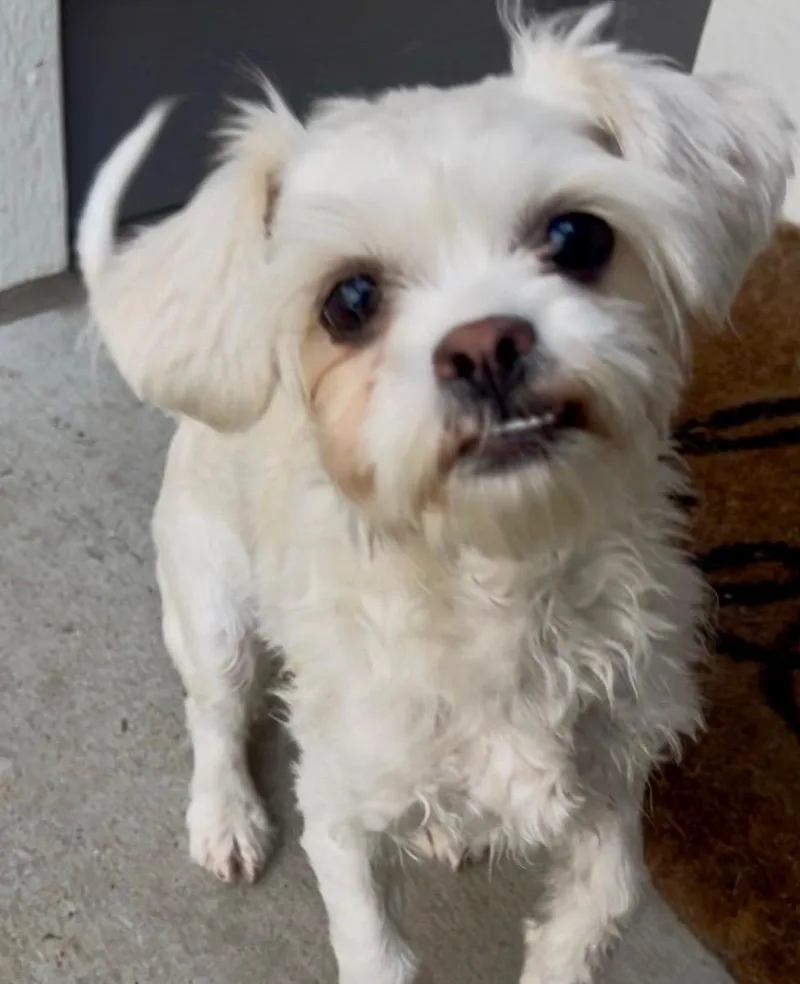 Chloe thumbnail 3