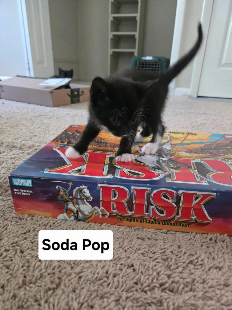 Soda Pop thumbnail 2