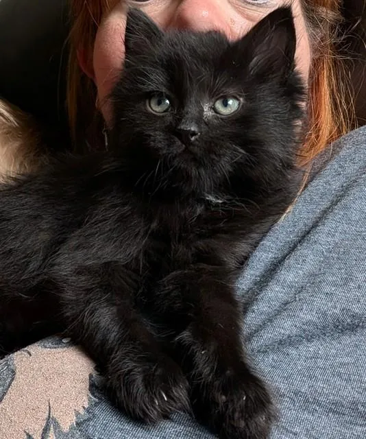 Onyx