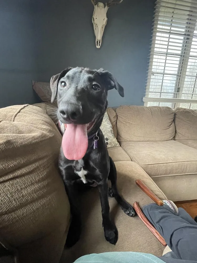 Daisy Sprout thumbnail 2