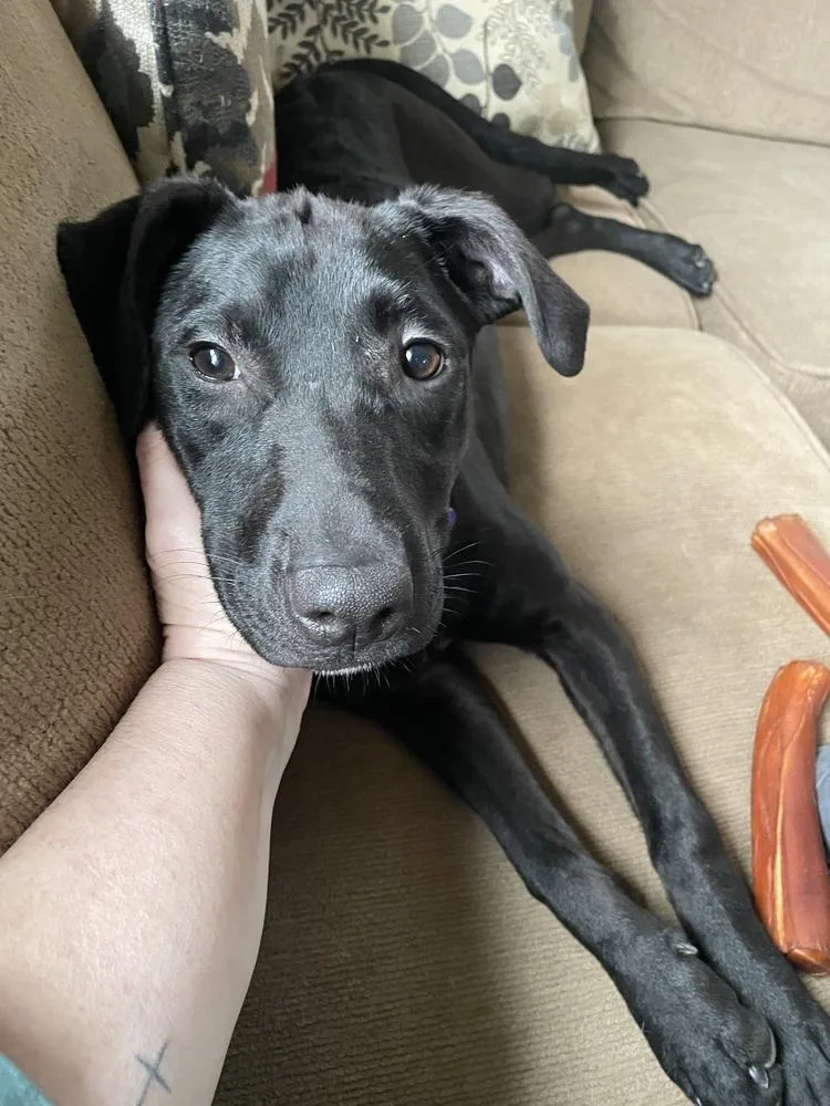 Daisy Sprout thumbnail 5