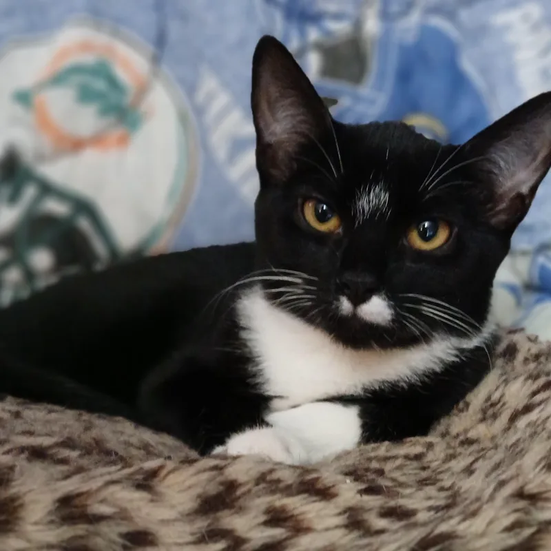 Darla thumbnail 4