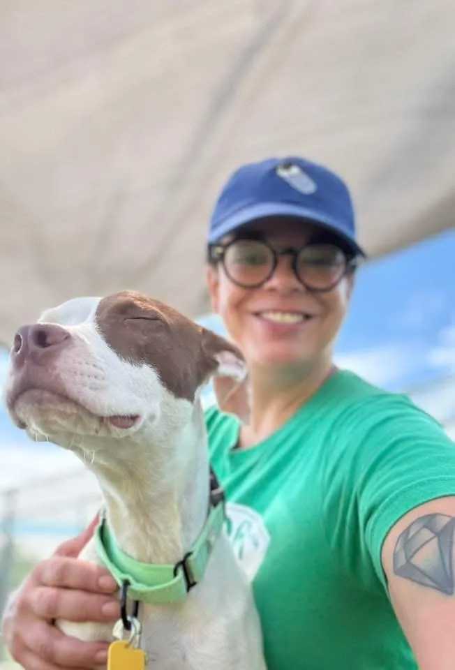 A baby medium-sized female White / Cream Pit Bull Terrier dog named Little Debbie for adoption in Cleveland, OH