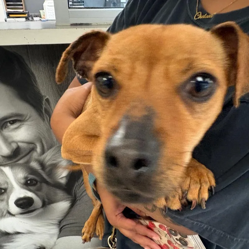 Benjamin Button thumbnail 2