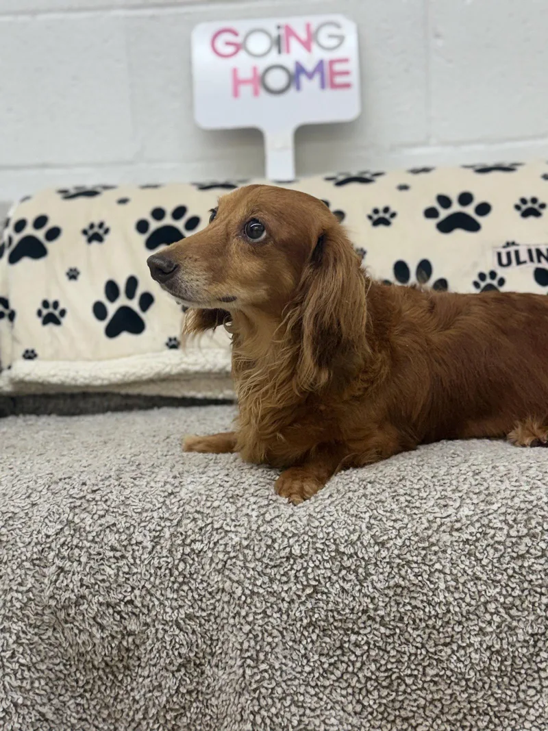 Pebbles thumbnail 2