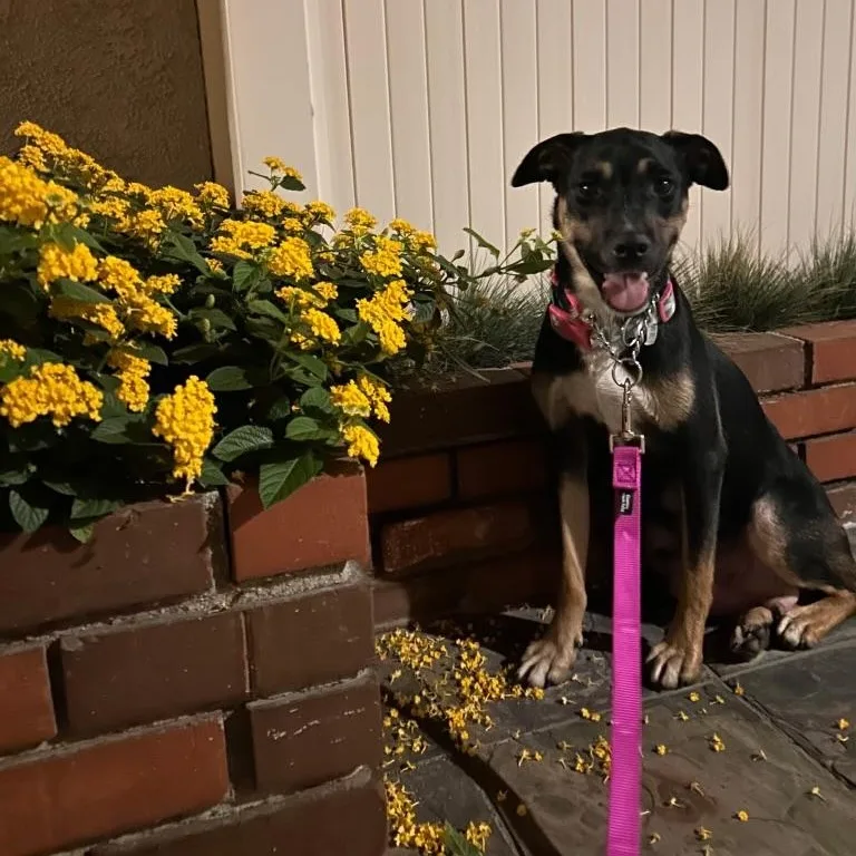 Wendy~ Ready For Love thumbnail 2