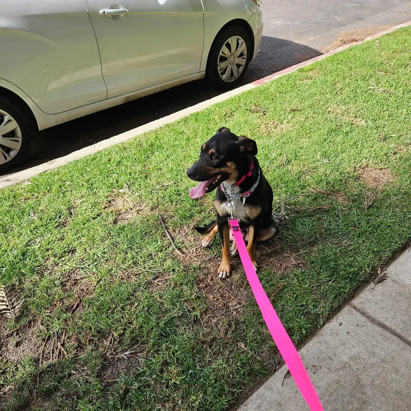 Wendy~ Ready For Love thumbnail 3