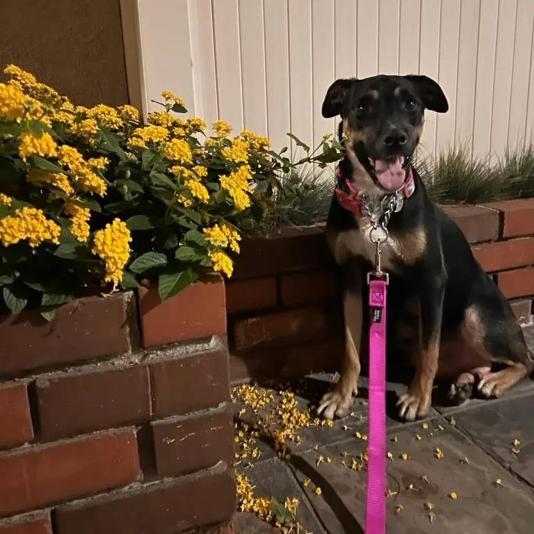 Wendy~ Ready For Love