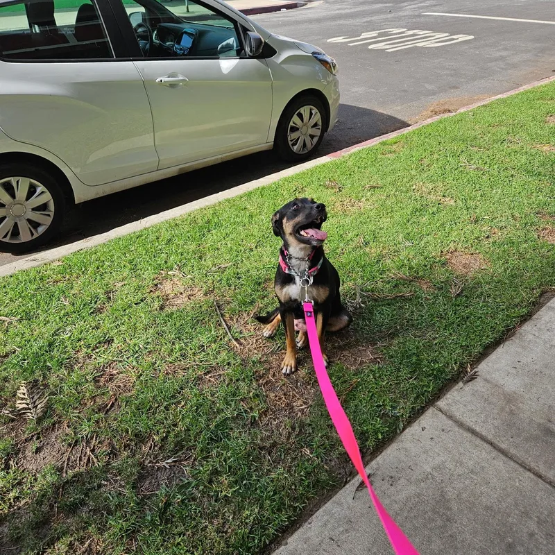 Wendy~ Ready For Love thumbnail 4