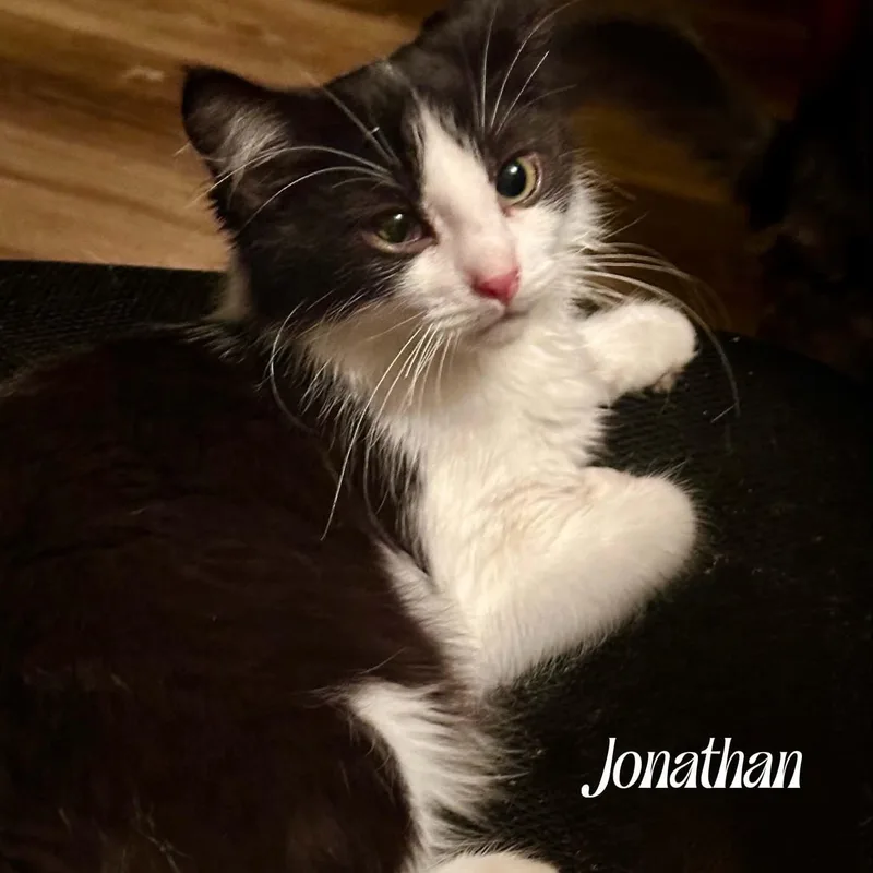 Jonathan thumbnail 2