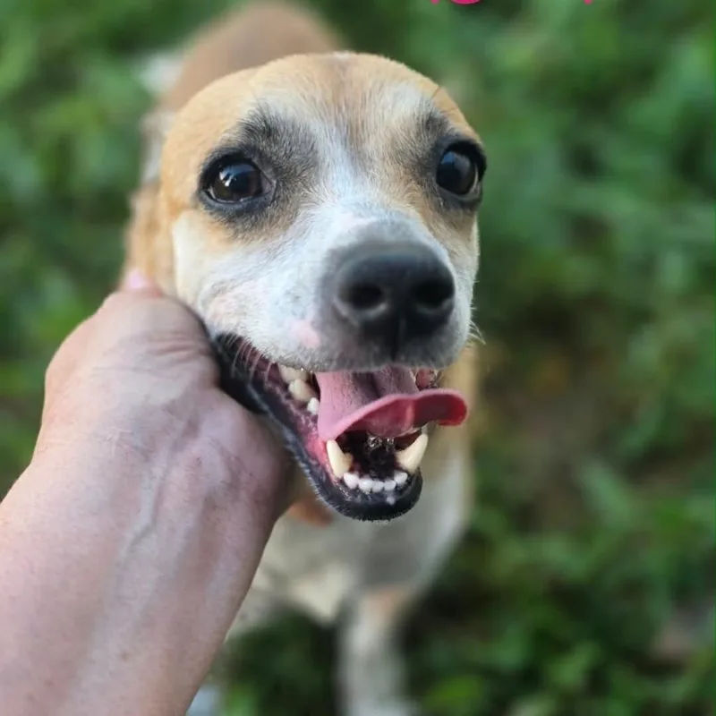 Maggie