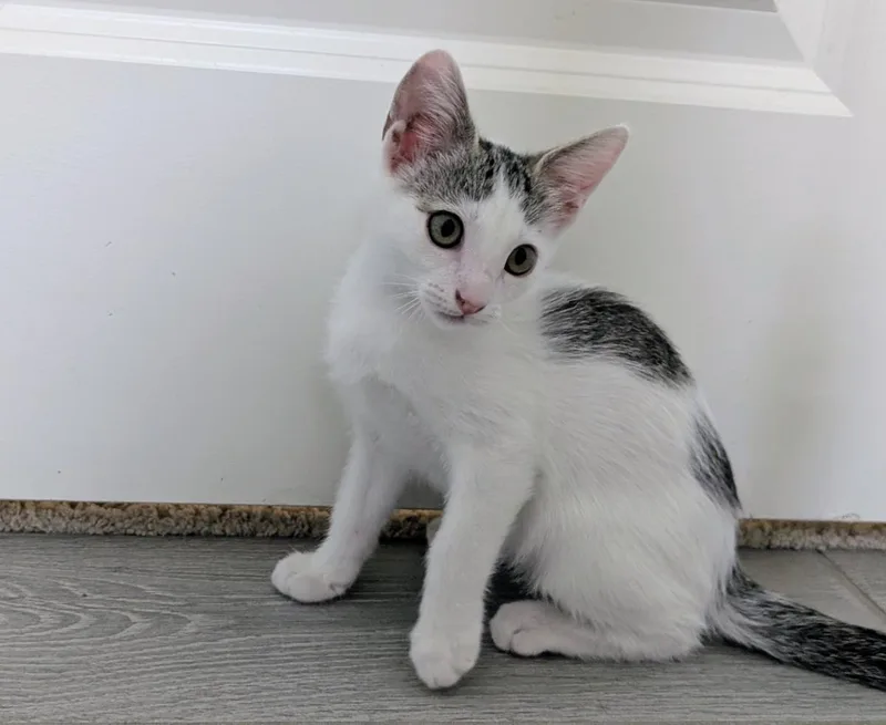 Dottie White thumbnail 2