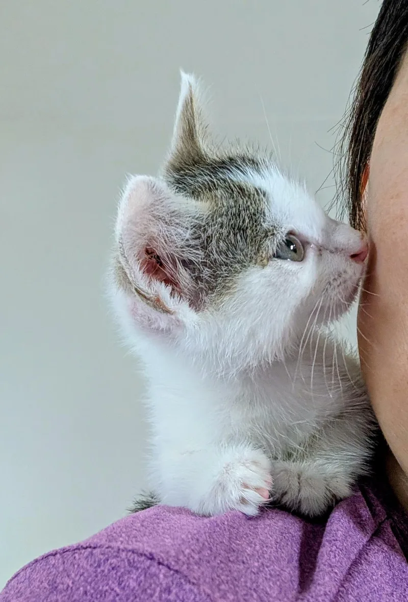 Dottie White thumbnail 3