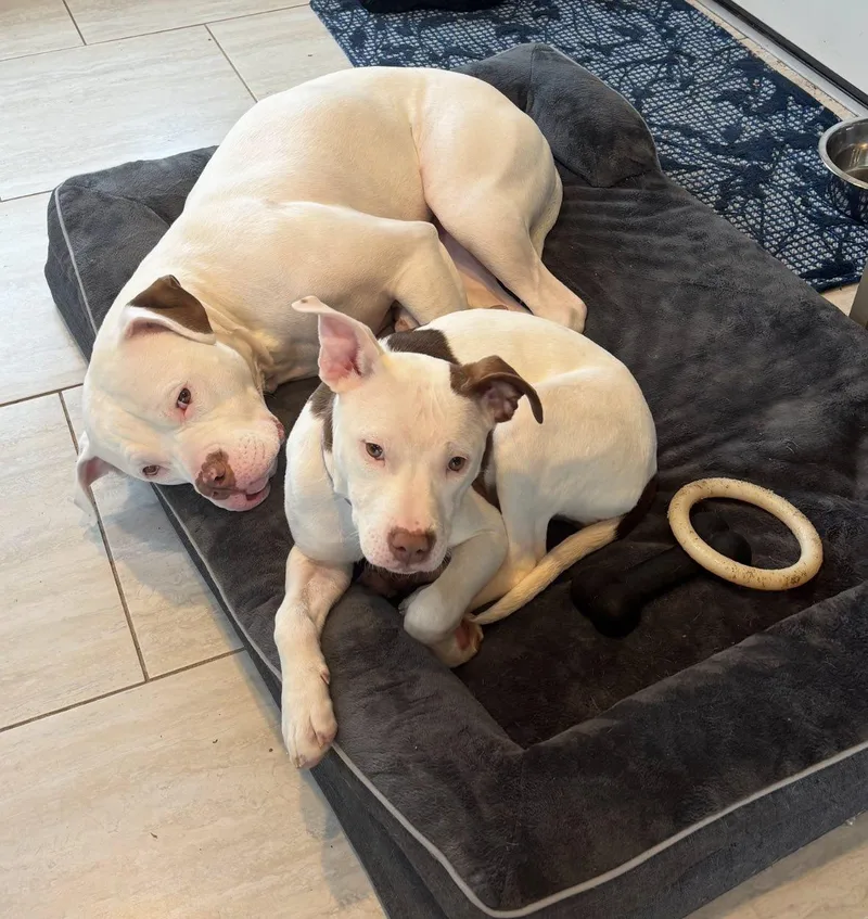 Confetti thumbnail 2