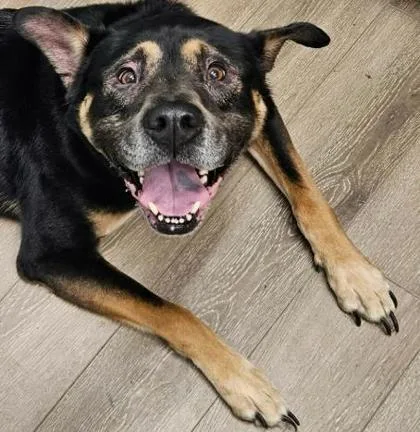 Milo Ryan thumbnail 2