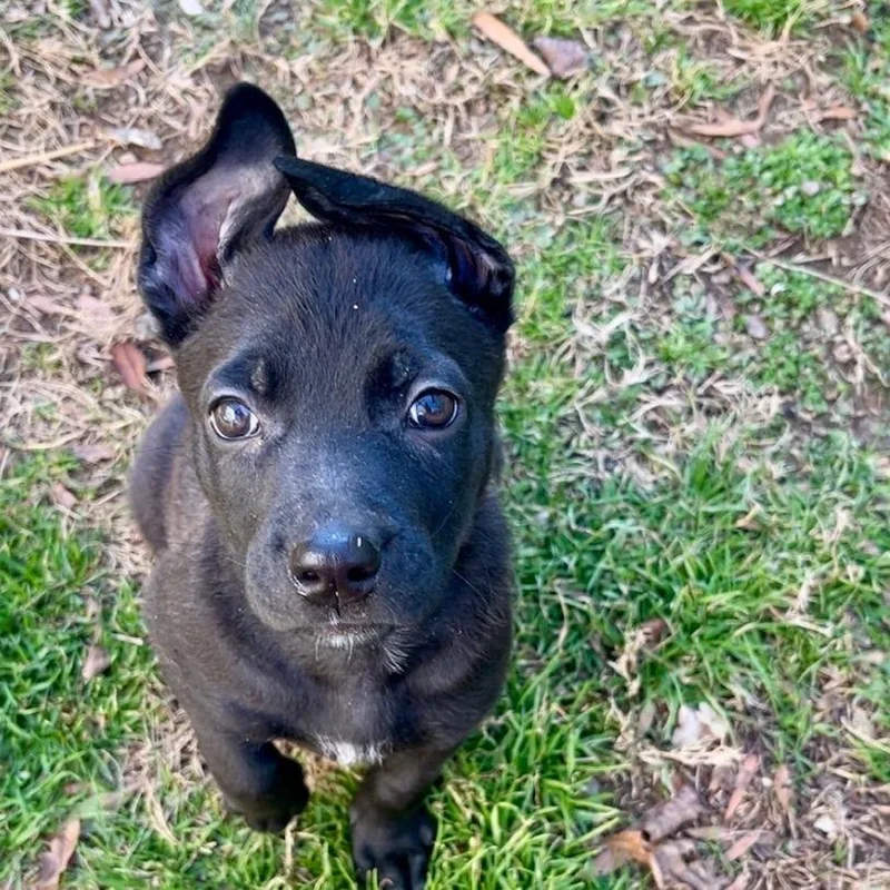 Midnight thumbnail 2