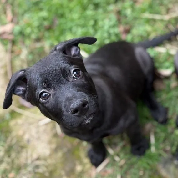 Midnight thumbnail 5