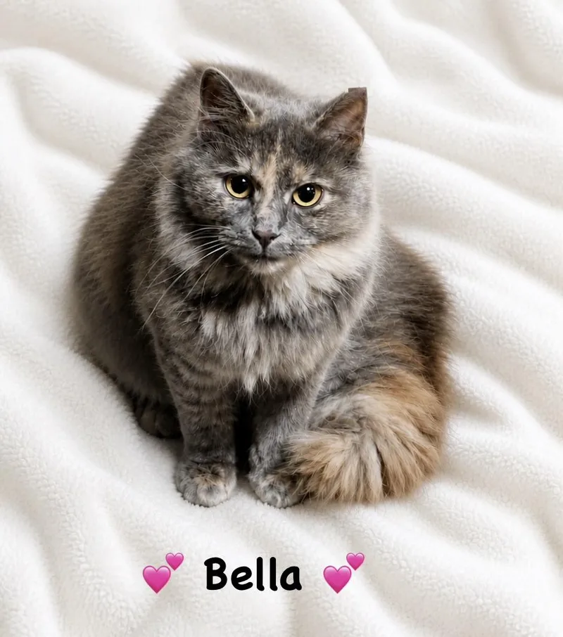 Bella