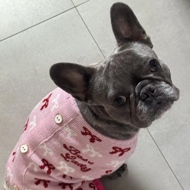 Ursula Pink aka Lady thumbnail 5