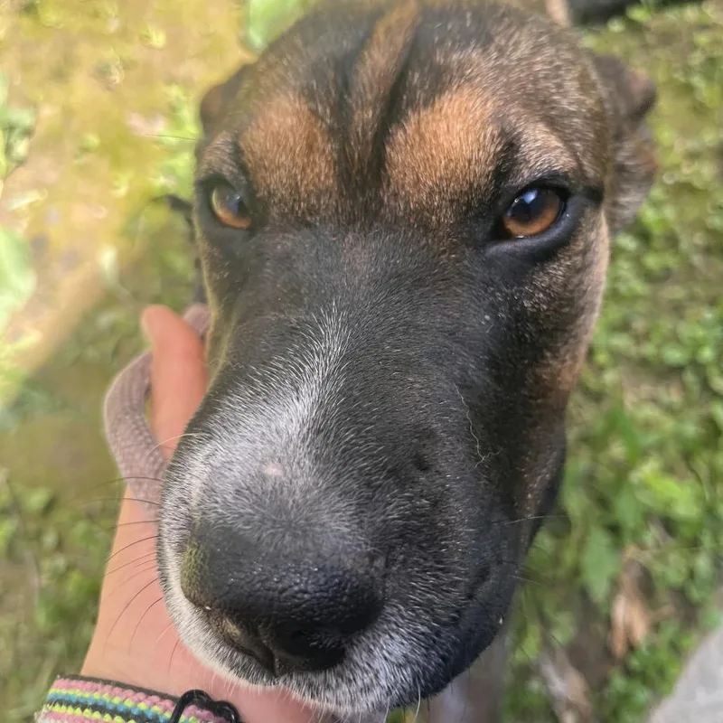 Sasha thumbnail 6