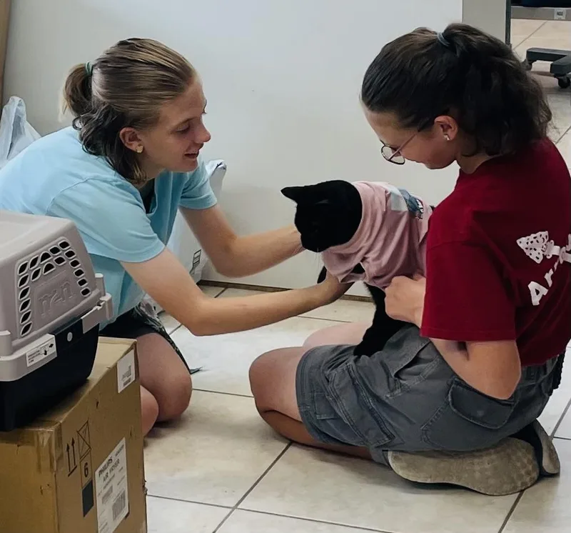 King Fiv+ thumbnail 2