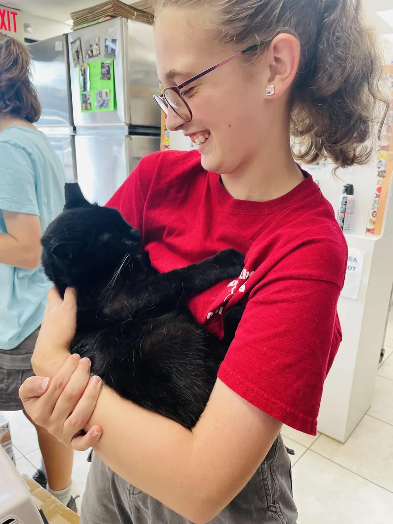 King Fiv+ thumbnail 4