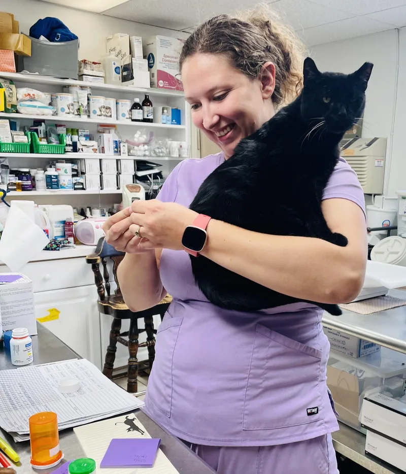 King Fiv+ thumbnail 5