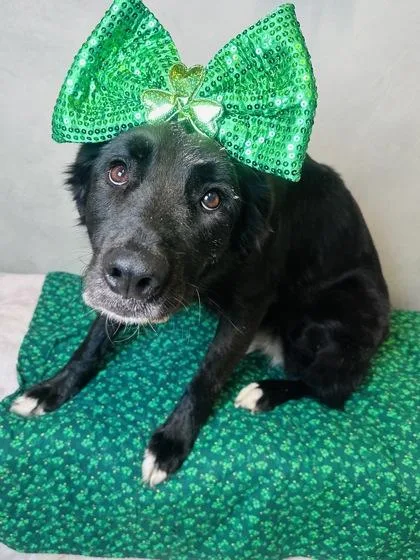 Luna Noelle thumbnail 2