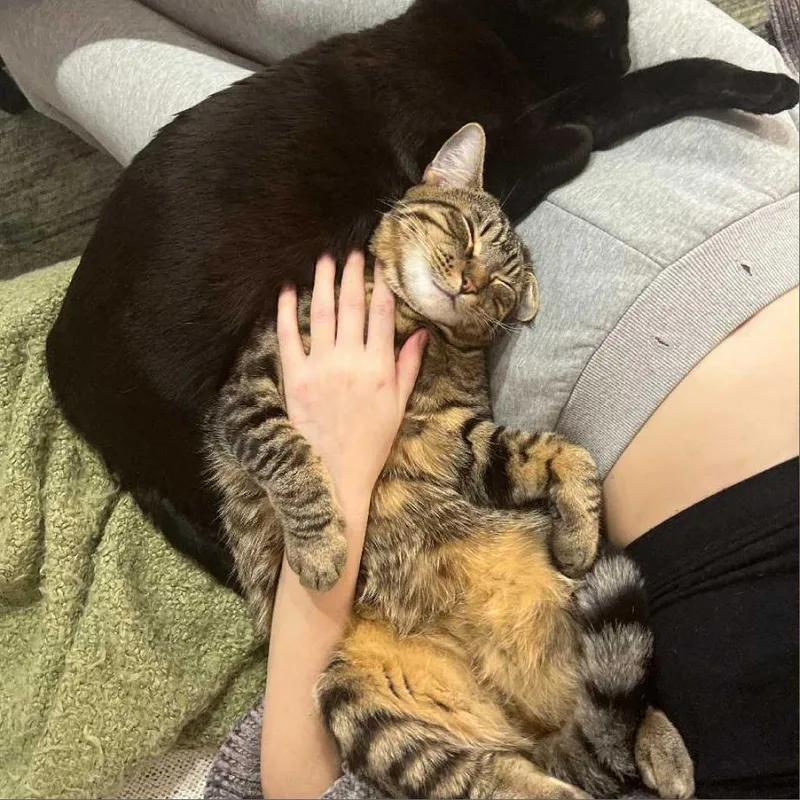 Anderson thumbnail 3