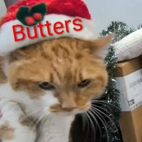 Butters