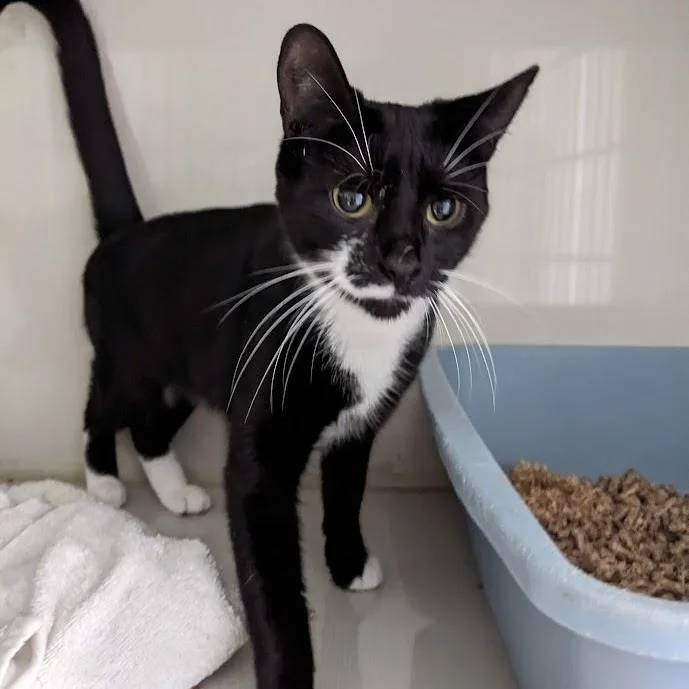 Jo Polniaczek thumbnail 2