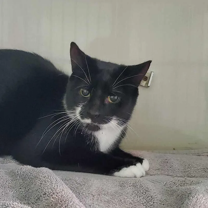 Jo Polniaczek thumbnail 3