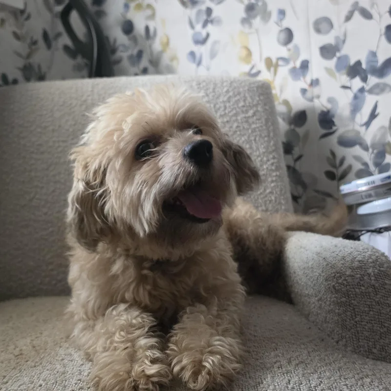 Benny
